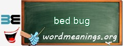 WordMeaning blackboard for bed bug